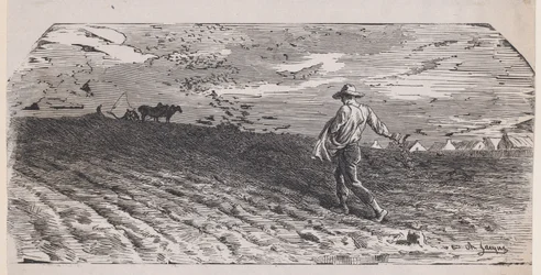 The Sower