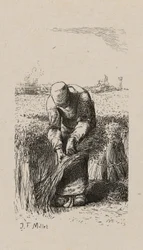 Woman Pulling Flax