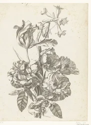 Bouquet with Peonies, a Tulip, and a Brodiaea (Diverses Fleurs mises en Boucquets)