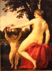 Flora