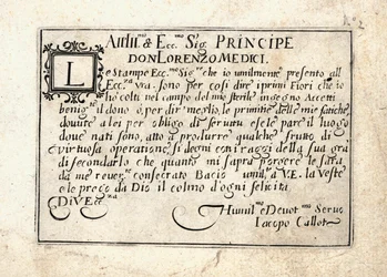 Caprices of Various Figures