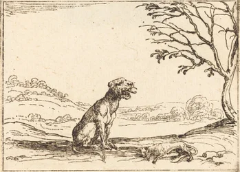 Lioness Mourning Her Cub