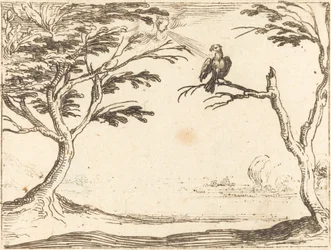 The Vulture