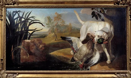 Braque Dog Holding a Mallard in His Mouth