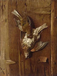 Dead Birds (Thrush and Fieldfare)