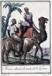 Moors going to the gum trade - in “Encyclopedia of Voyages” by Grasset St Sauveur, ed. 1796