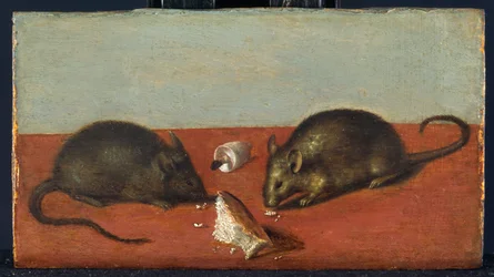 Mice, c.1600