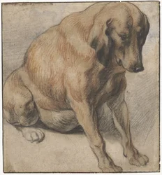 Seated Dog