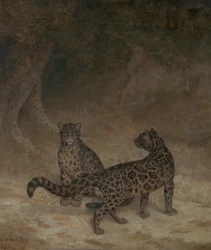 Clouded Leopards, c.1825