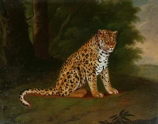 Unknown Image