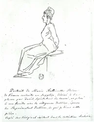 Marie-Antoinette on Her Way to Her Execution