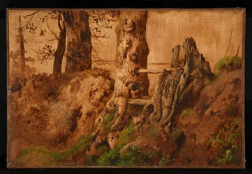 Trees and Rocks