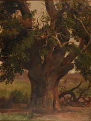 The Old Oak (study)
