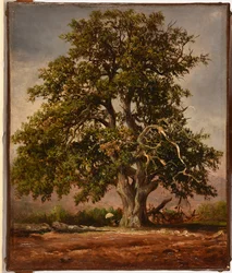 The Old Oak