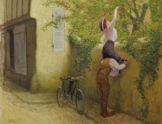 Collecting Plums