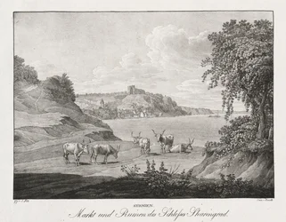 Syrmien, Market and Ruins of the Sharengrad Castle