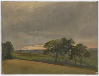 Evening meadow with trees