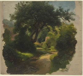 Forest Path