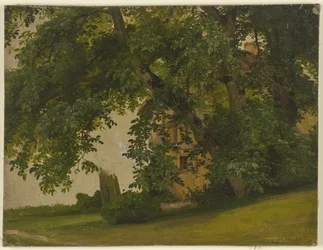 House behind trees