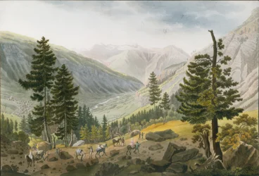 Mountain Landscape with a Caravan of Mules