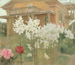 Lilies in the Evening