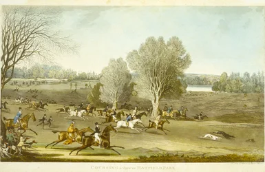 Coursing - A View of Hatfield Park, Engraved by James Pollard
