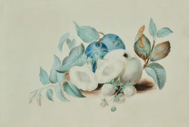 Still Life