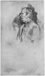 Lord Wolseley