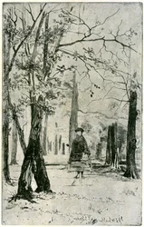 The Wood