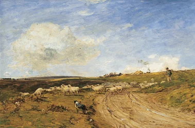 A Breezy Day