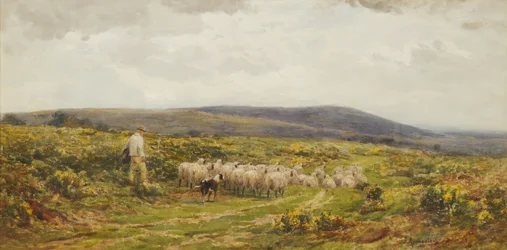 A Herefordshire Common