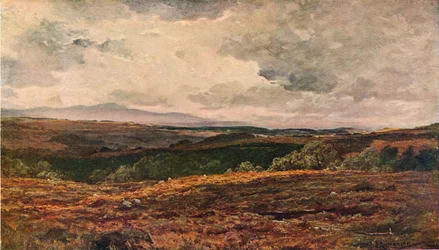 The Borderland