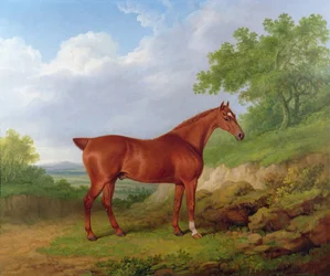 Chestnut Hunter in a Landscape