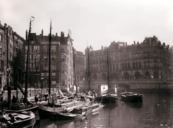 Canal Boats, Rotterdam