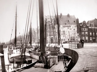 Canal Boats, Rotterdam
