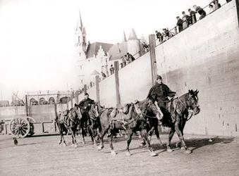 Horseriders, Antwerp