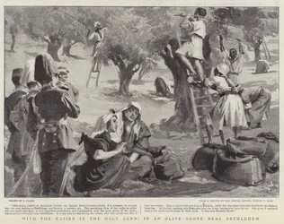 With the Kaiser in the Holy Land, in an Olive Grove near Bethlehem