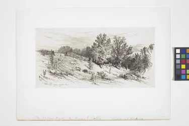 A Fallow Field
