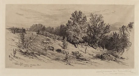 A Fallow Field