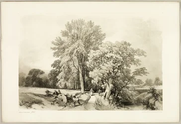 Abele and Oak, from The Park and the Forest