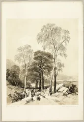 Birch and Oak, from The Park and the Forest
