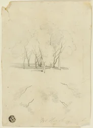 Clump of Trees