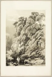 Wych Elm and Firs, from The Park and the Forest