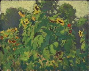Sunflowers, Thornhill