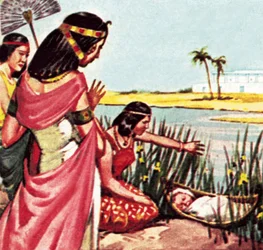 Moses in the Bulrushes