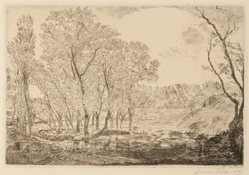 Pond with poplars