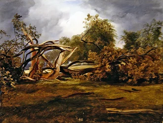 The Blasted Oak