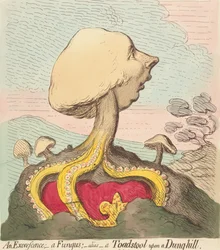 An Excrescence - A Fungus - Alias - A Toadstool Upon a Dung-Hill
