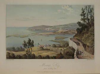 Montego Bay from Reading Hill