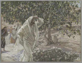 The Accursed Fig Tree, illustration from The Life of Our Lord Jesus Christ